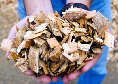 Remarkable expected increase in biomass-for-energy needs forethought