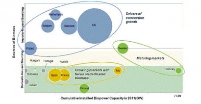 European biopower market will grow, albeit slowly, until 2035