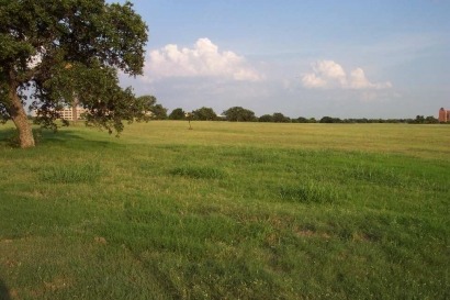 “Not the right time to call for more idle agricultural land,” warns biofuels association