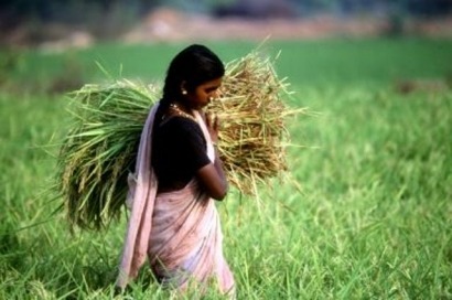 India eyeing ambitious biomass goal