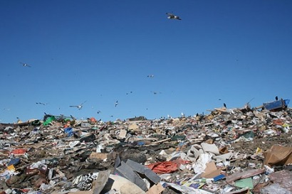 DTE Biomass Energy landfill gas project begins operation in US