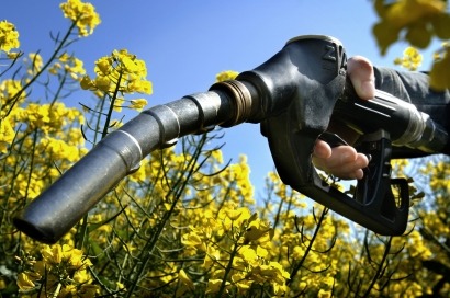 Biodiesel kicks off trade war with Argentina