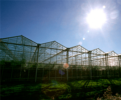 Opcon Bioenergy secures &euro;8.8 million deal to power historic town