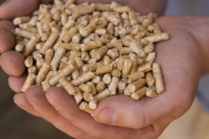 Bell rings on world’s first biomass energy exchange