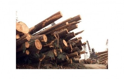 Canadian timber firm initiates $45 million bio-energy project