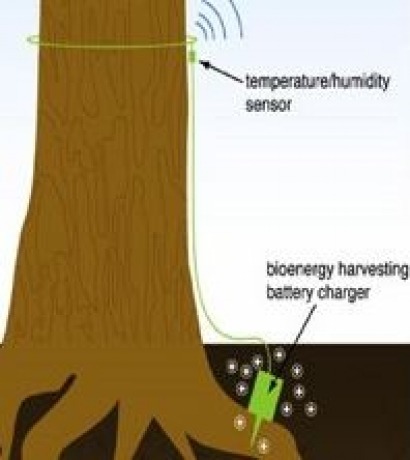 Innovative bio-energy firm inks deal to enter Greek market