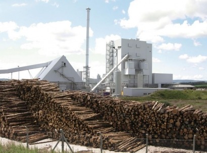 Report sees biomass plants flourishing in post-subsidy Europe