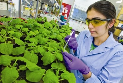 US Department of Energy to fund bioenergy incubators
