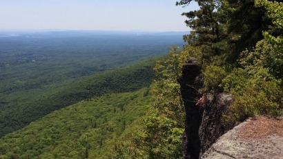 New York State Wood Energy Team secures support from USDA to expand bioenergy outreach