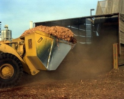 South Carolina develops guidelines to the harvesting of biomass