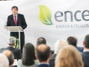 Con la compra de Enemansa y La Loma, Ence copa el 50% de la biomasa eléctrica instalada