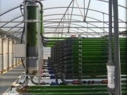 Planes para una planta de biogás a partir de algas