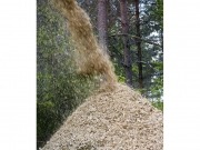 Los 24 mandamientos de la sostenibilidad de la bioenergía