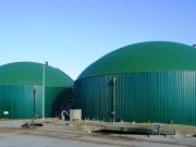 Industria mantiene en el aire, y en la angustia, la asignación de 120 MW renovables y de cogeneración
