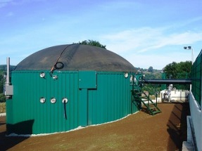 Piden un tres por ciento de la subasta de renovables para el biogás