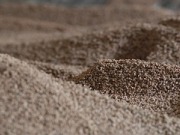 El Gobierno aprueba ayudas para mejorar el suministro de biomasa