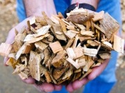 Remarkable expected increase in biomass-for-energy needs forethought