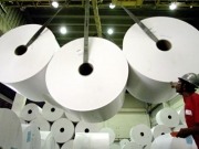 Energía para producción de papel