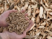 Los pellets ya tienen su certificación de calidad