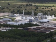 Florida: Etanol a partir de biomasa no alimenticia