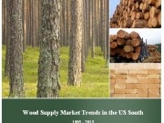 La exportación de pellets no es una amenaza para los bosques del sur