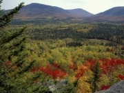 New Hampshire: 84% of industrial and commercial heating could be met using forest biomass