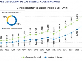 En dos décadas, la generación por bagazo de caña alcanzó los 700 MW de capacidad y ya equivale al 27% de la matriz energética