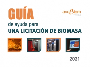 Las licitaciones de proyectos de biomasa deben adaptar sus exigencias técnicas a las necesidades de cada instalación