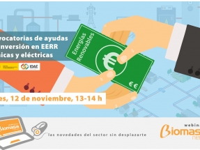 Cómo acceder a setenta millones de euros en ayudas del IDAE para la bioenergía Cómo acceder a setenta millones de euros en ayudas del IDAE para la bioenergía