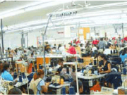 320 millones para que la biomasa energice la industria textil