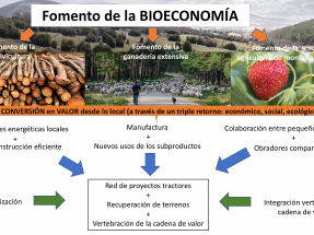Castilla y León apoya un proyecto contra la despoblación en Soria que cuenta con la biomasa