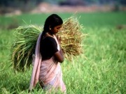 India eyeing ambitious biomass goal