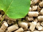 Interbiomasa, socio colaborador de SI Bioenergía
