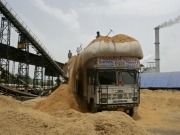 Biomass producers facing uncertain future