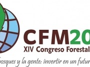 El Congreso Forestal Mundial habla de bioenergía.