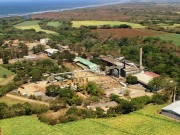 Inauguran una planta eléctrica a biomasa de 38 MW