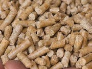 Se duplican las exportaciones de pellets de madera a Europa