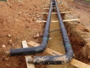 Rebi y redes de calor de biomasa, destino conjunto