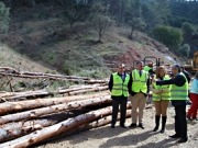 Bioenergía, prevención de incendios y conservación de biodiversidad en montes de Málaga