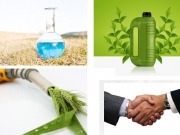 Andalucía quiere valorizar los residuos de su industria horticultora intensiva