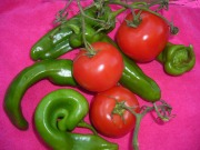 Restos de pimientos y tomates mejoran la producción de biogás