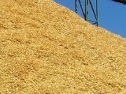 Turboden enters UK market with organic biomass plants at Heathrow and BSkyB