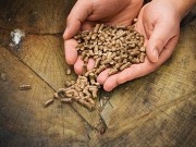 World’s first biomass energy exchange announced