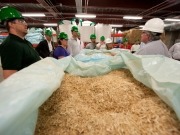 Report says biomass can be a key to meeting the UK