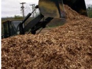 GN Energy solutions acquires forest fuels