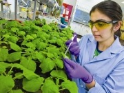 US Department of Energy to fund bioenergy incubators