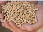 Hundreds expected at this year