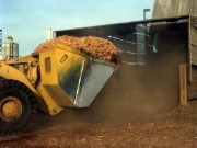 South Carolina develops guidelines to the harvesting of biomass