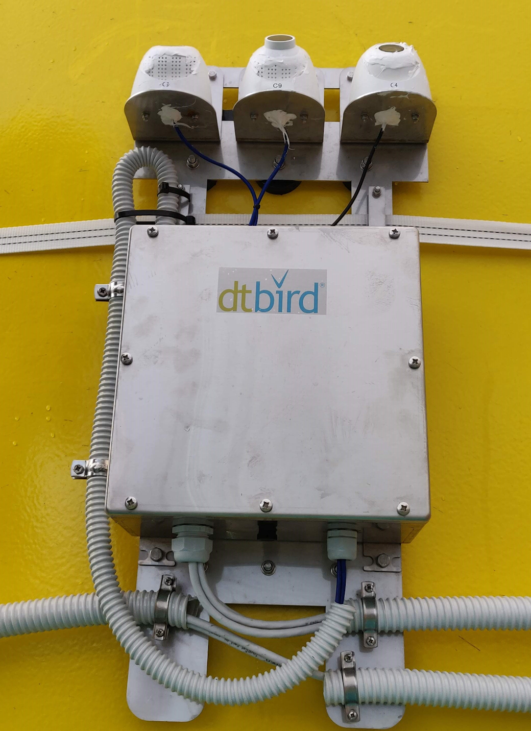 Kincardine OWF Fulfills Bird Strike Monitoring Consent Condition with DTBird