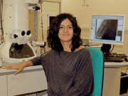 Las energías limpias triunfan en los Premios L´Oreal para científicas excepcionales